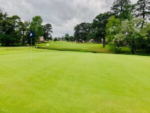 Well-manicured green and fairway separated by a small creek.