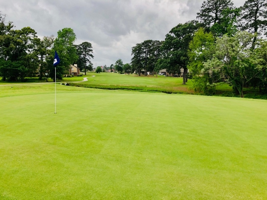 Well-manicured green and fairway separated by a small creek.