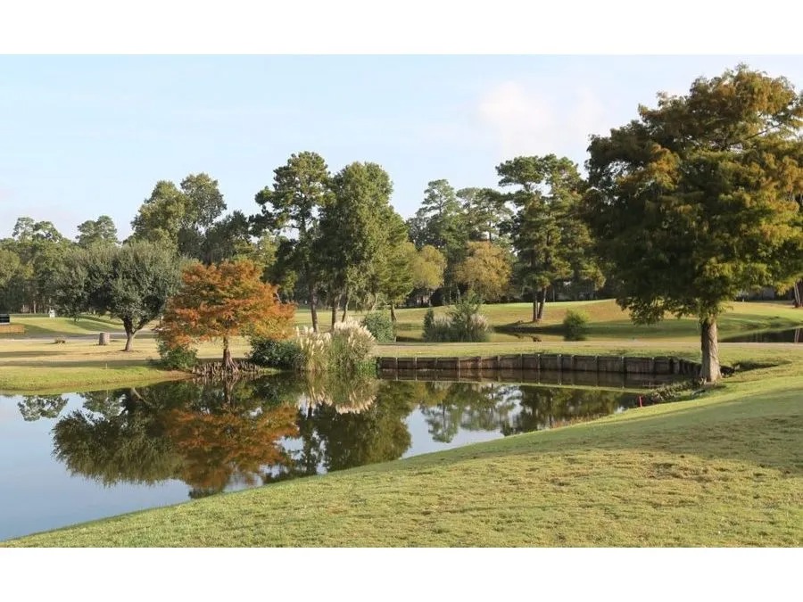 Elevated green and trees reflected in the glassy lake water.