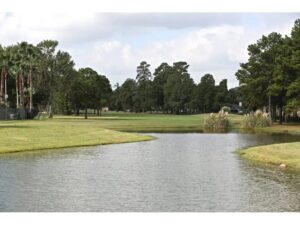 Pond with fairway in the background.