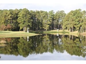 Lake and trees surrounding a green.