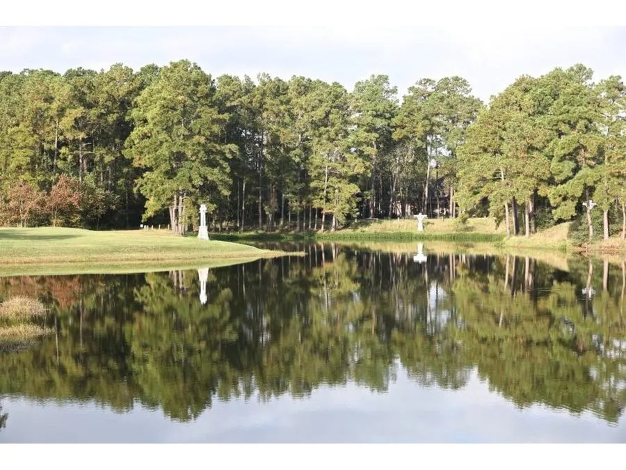 Lake and trees surrounding a green.
