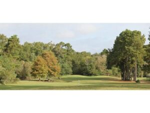 Fairway and green in alternating sun and shadow.